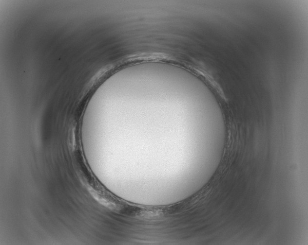 X0000082150110200701191034