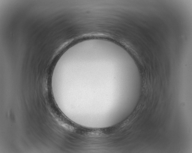 X0000082150112200701191034