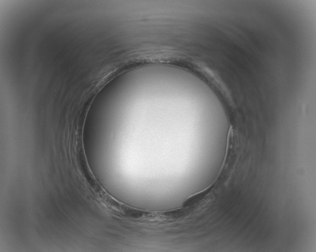 X0000082150113200701191034