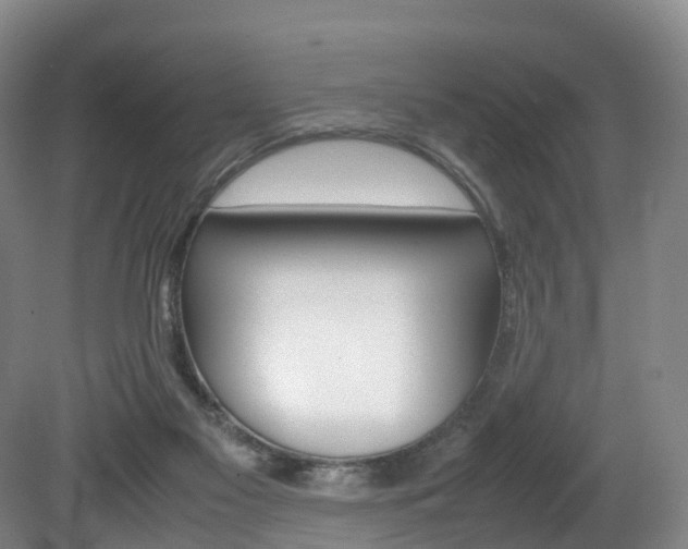 X0000082150117200701191034