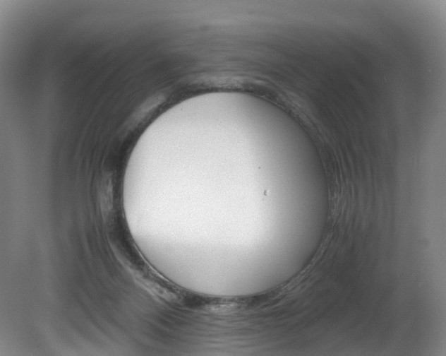 X0000082150120200701191033