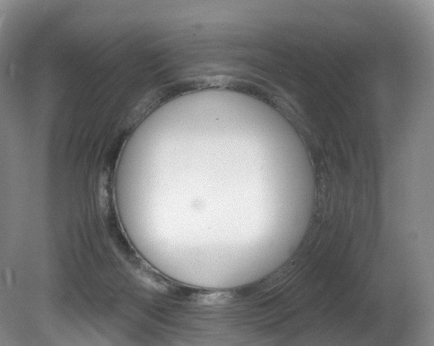 X0000082150122200701191033