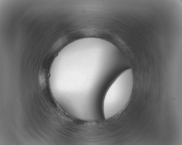 X0000082150124200701191033