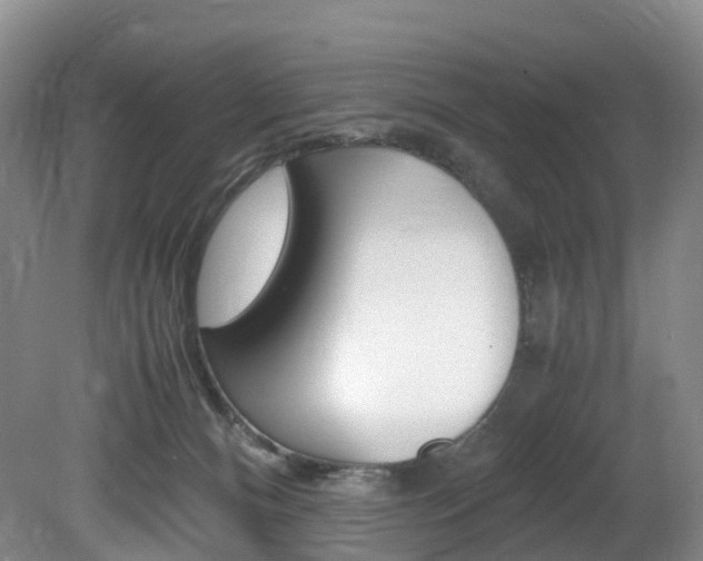 X0000082150128200701191033