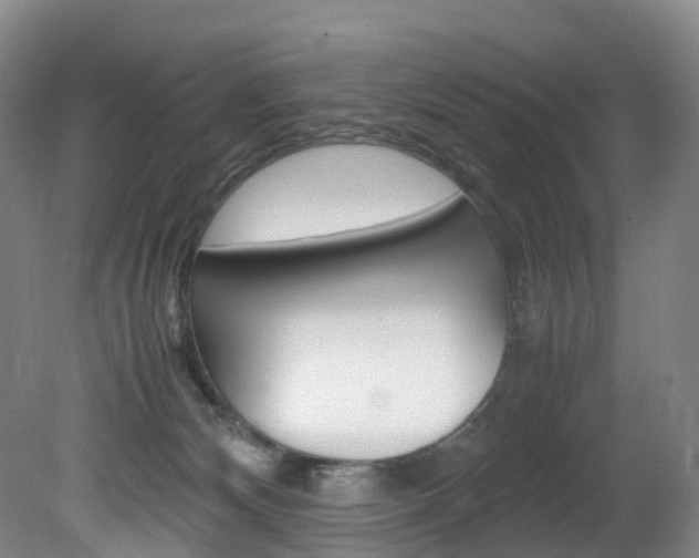 X0000082150132200701191033