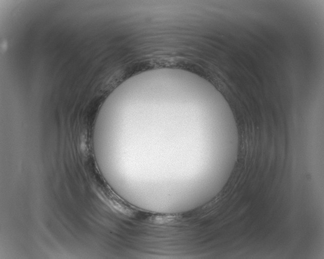 X0000082150134200701191033