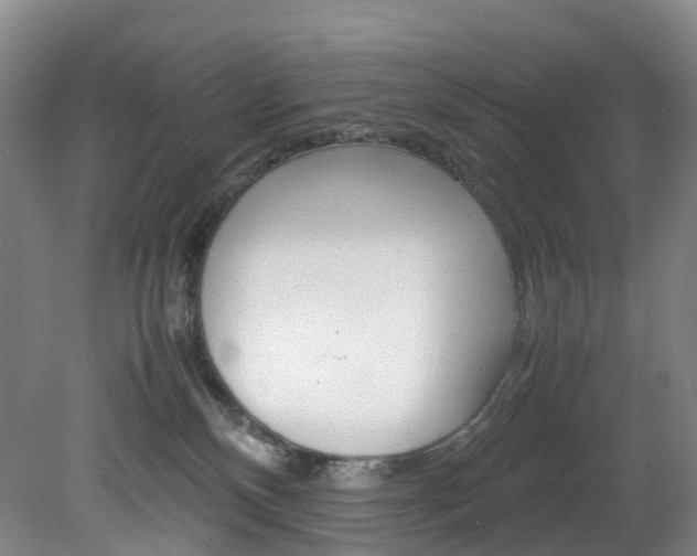 X0000082150136200701191033