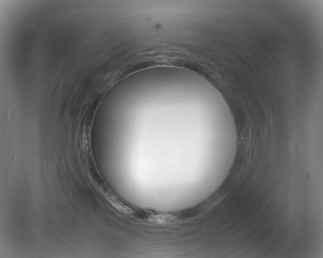 X0000082150137200701191033