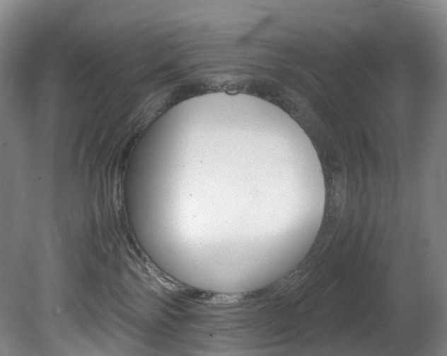 X0000082150138200701191033