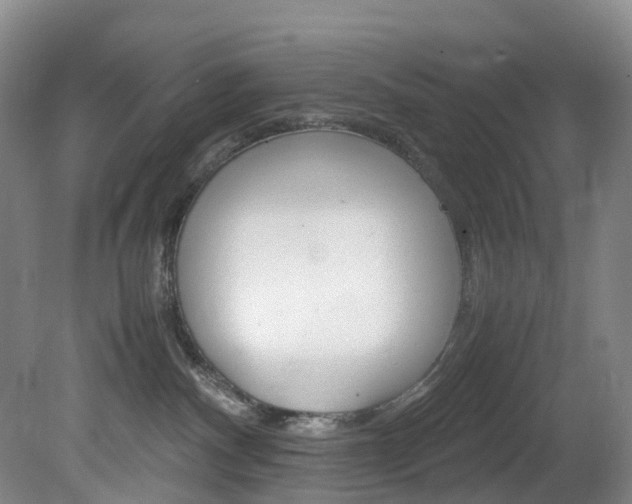 X0000082150140200701191033