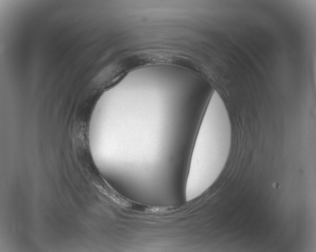 X0000082150141200701191033