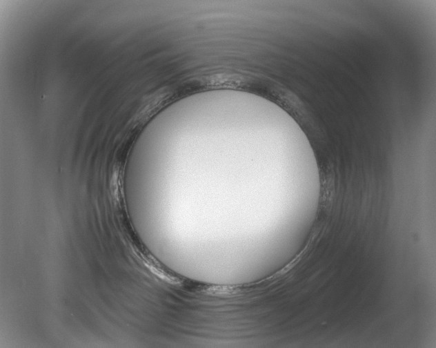X0000082150142200701191033
