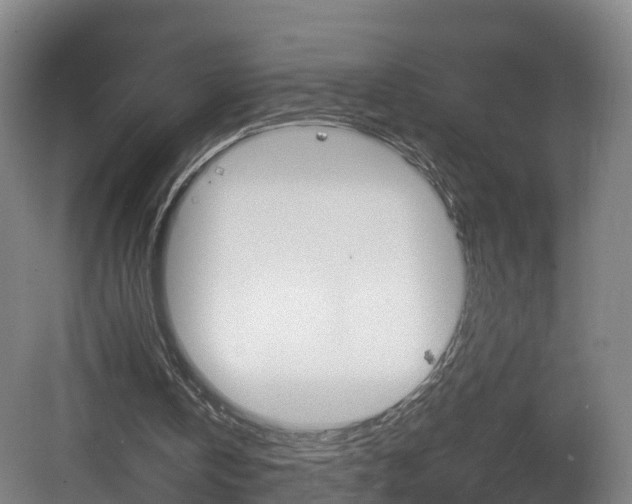 X0000082150146200701191032