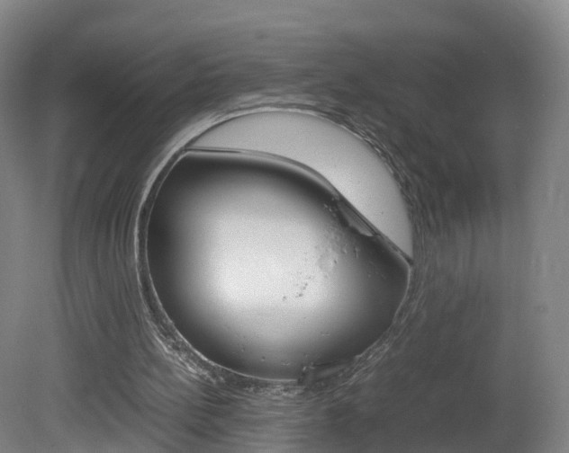 X0000082150148200701191032