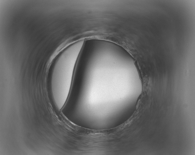 X0000082150150200701191032