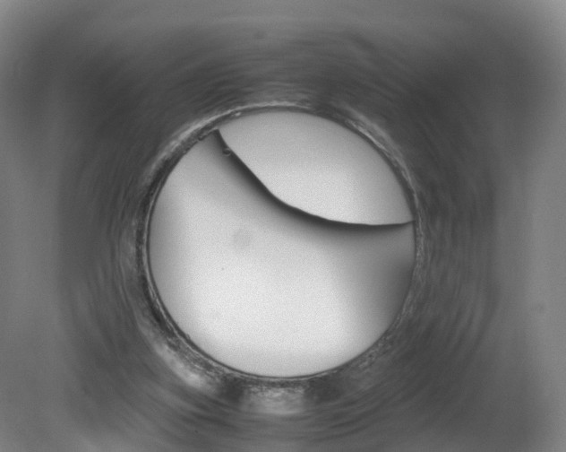 X0000082150155200701191032