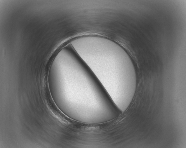 X0000082150156200701191032
