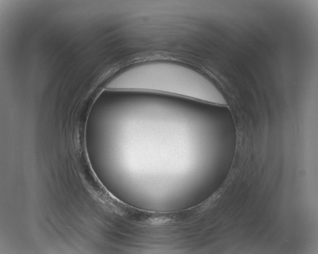 X0000082150158200701191032