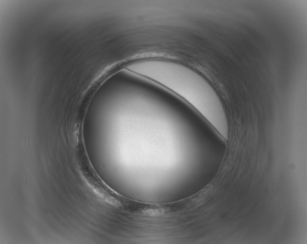 X0000082150160200701191033