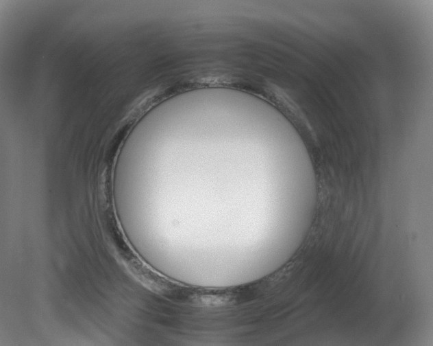 X0000082150163200701191033