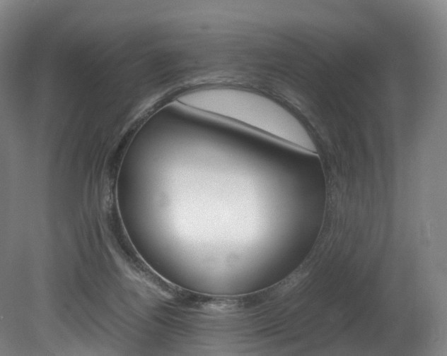 X0000082150164200701191033
