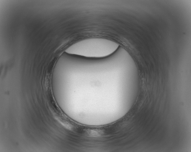 X0000082150165200701191033