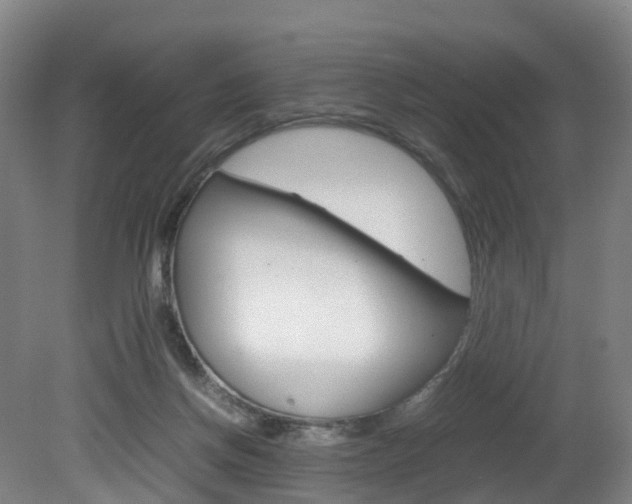 X0000082150166200701191033