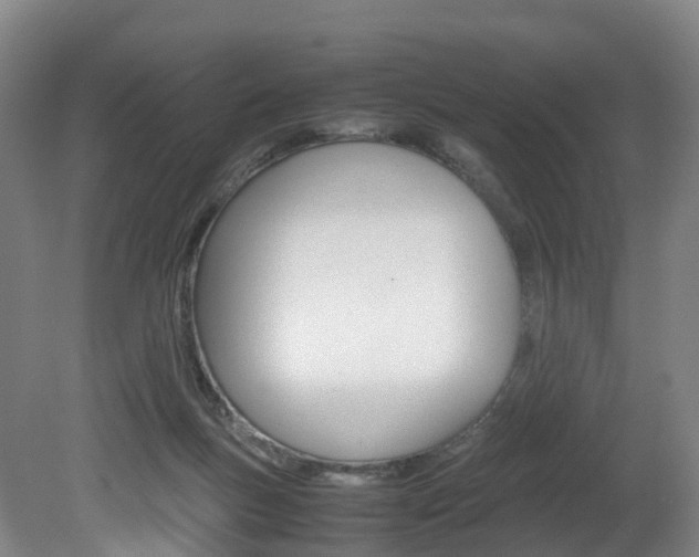 X0000082150167200701191033