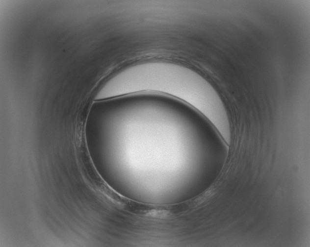 X0000082150168200701191033