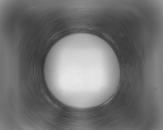 X0000082150170200701191033