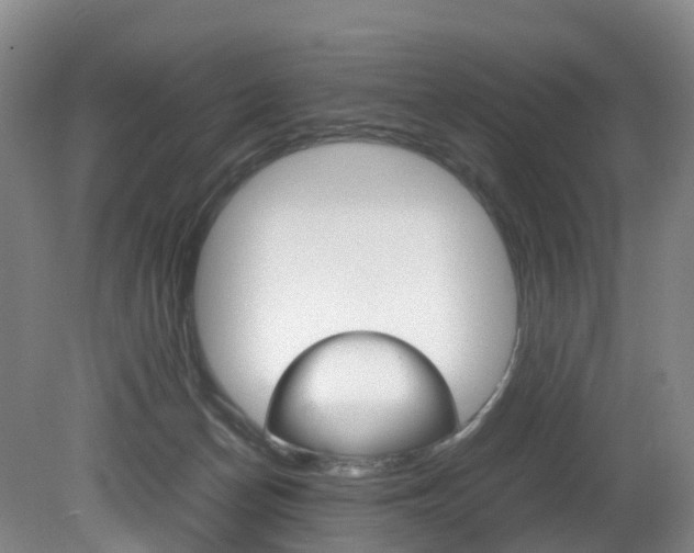 X0000082150174200701191033