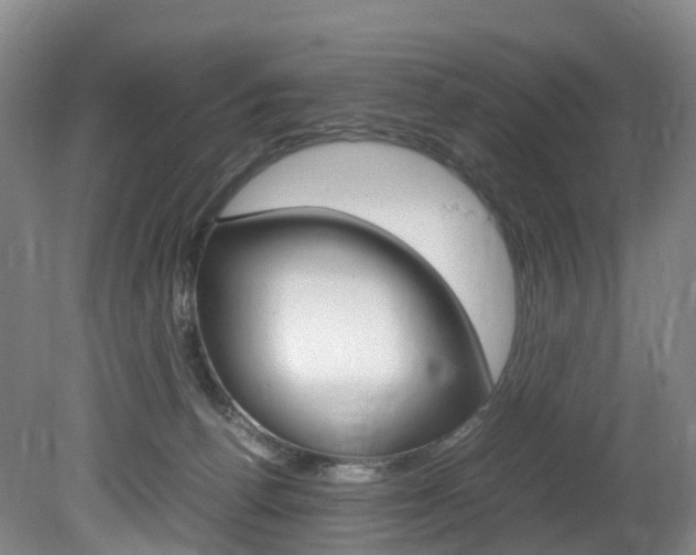 X0000082150176200701191033