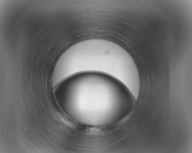 X0000082150180200701191033