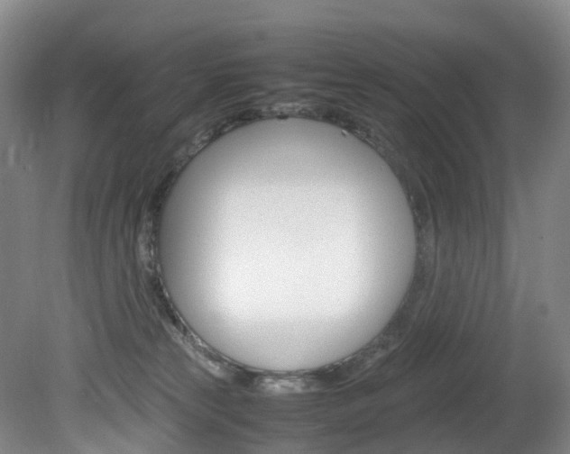 X0000082150181200701191033