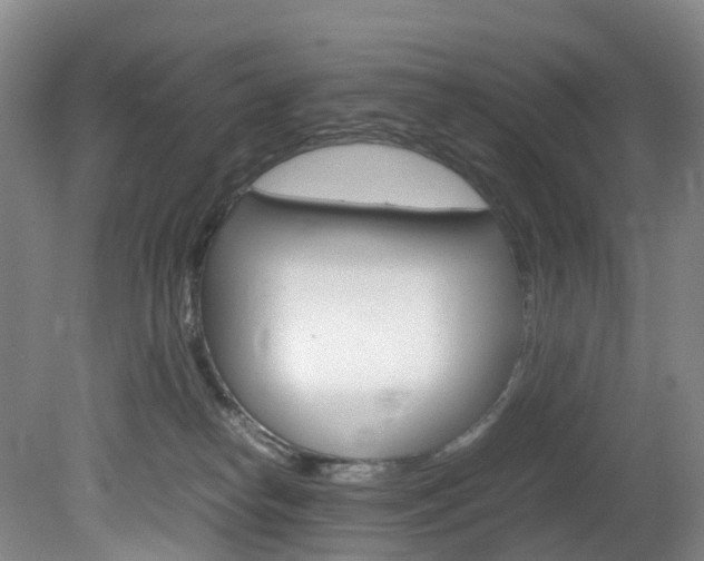 X0000082150182200701191033
