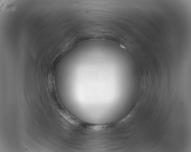 X0000082150184200701191033