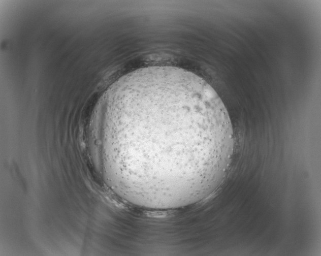 X0000082150187200701191033