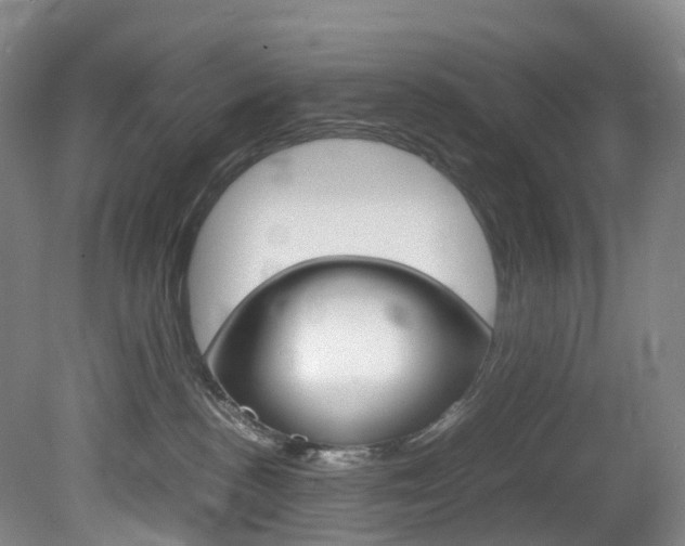 X0000082150188200701191033