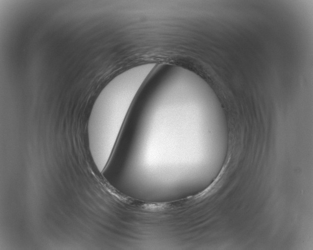 X0000082150192200701191033