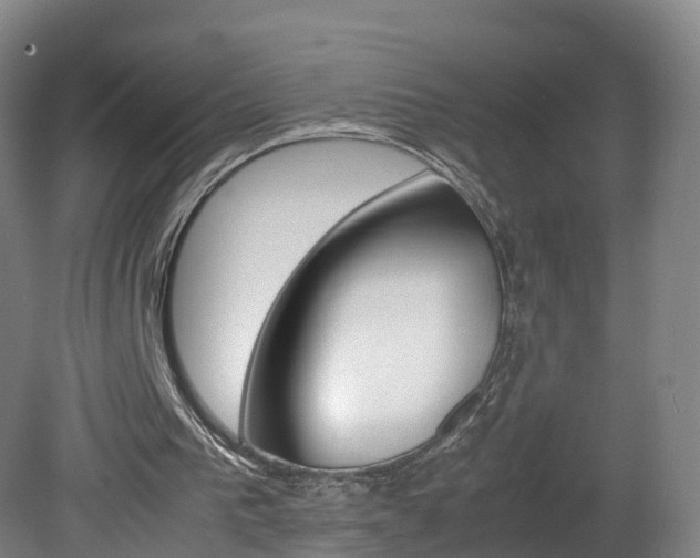 X0000082150193200701191032