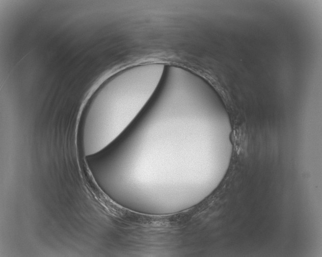 X0000082150196200701191032