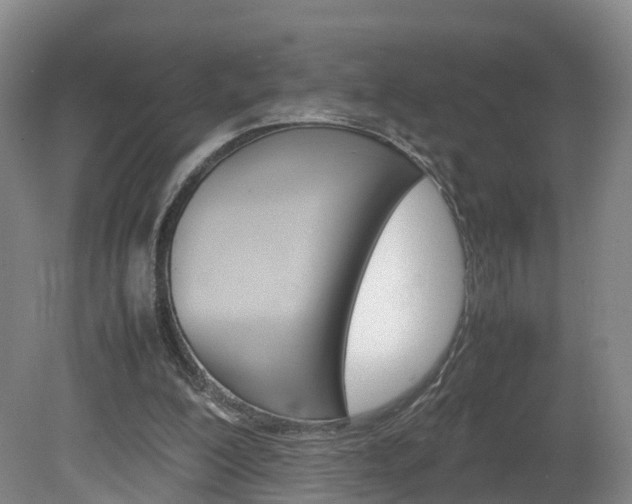 X0000082150200200701191032