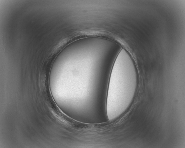 X0000082150201200701191032