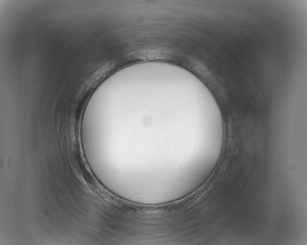 X0000082150202200701191032
