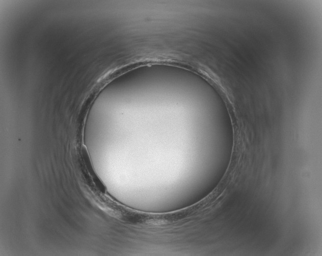 X0000082150203200701191032