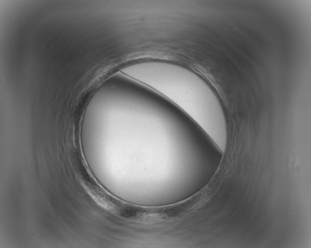 X0000082150205200701191032