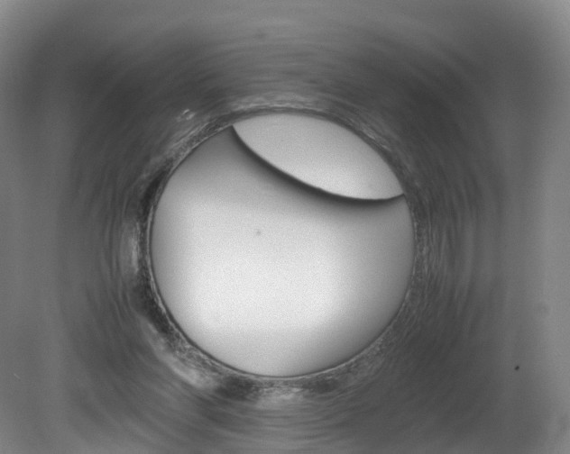 X0000082150206200701191032