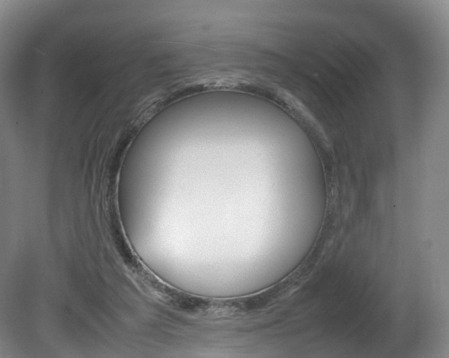 X0000082150209200701191032