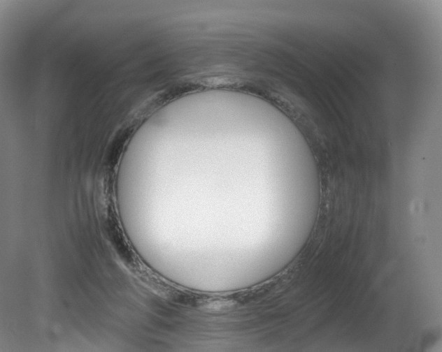X0000082150210200701191032
