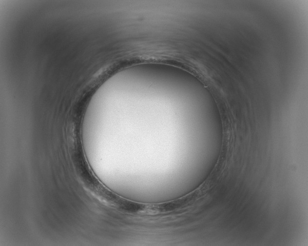 X0000082150211200701191032